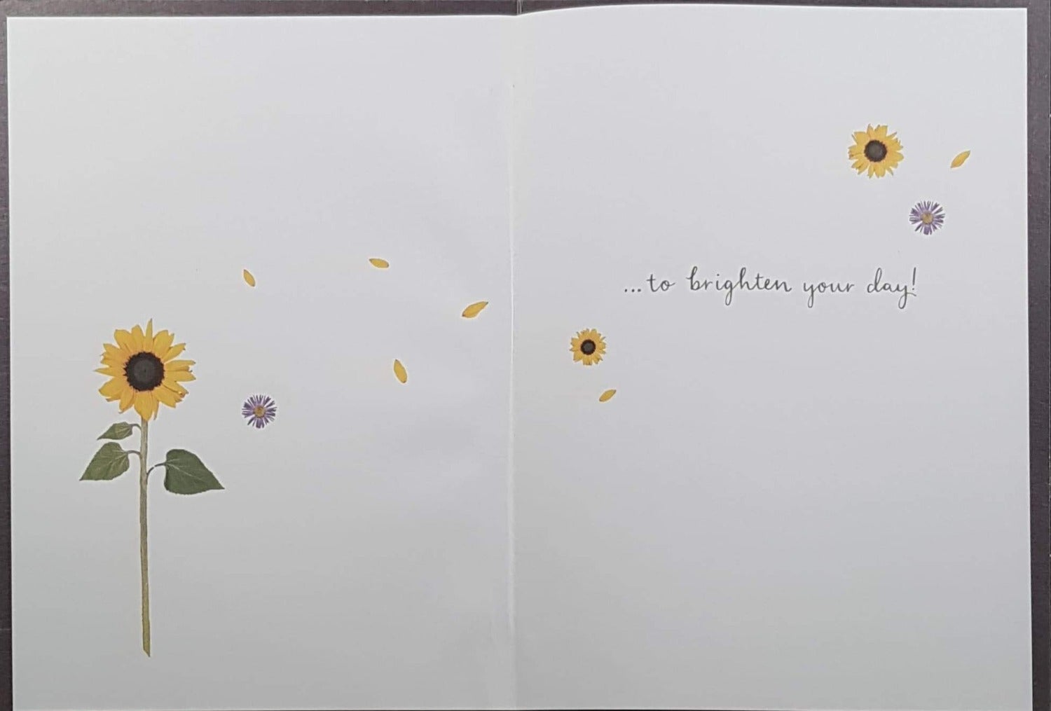 Thinking Of You Card - Single Sunflower & Sending You A Sunshine