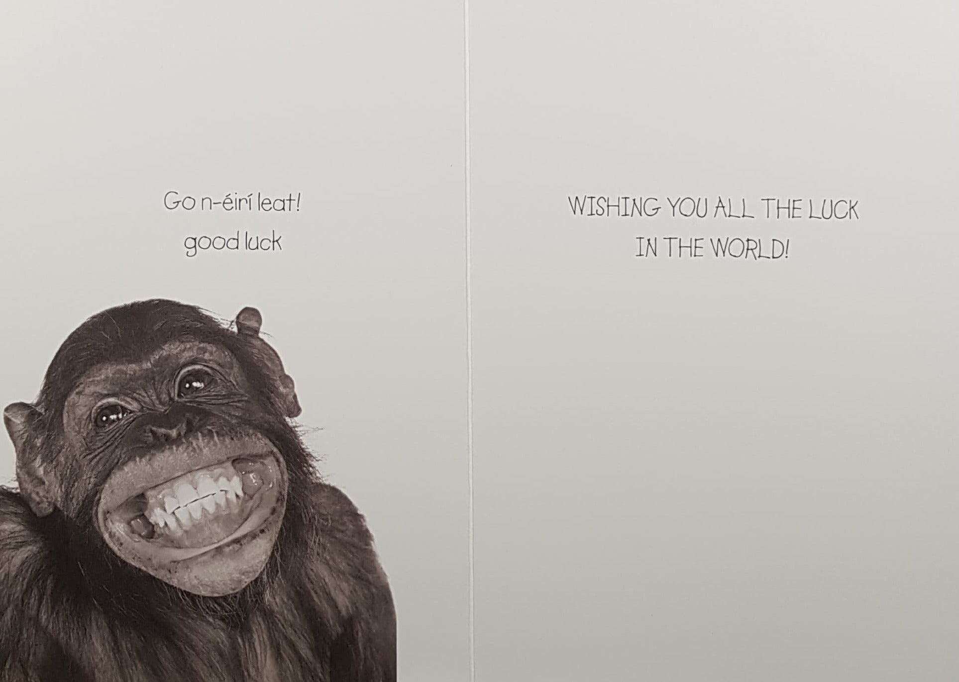 Good Luck Card - Leaving Cert / Smiling Monkey 'Easy Peasy'