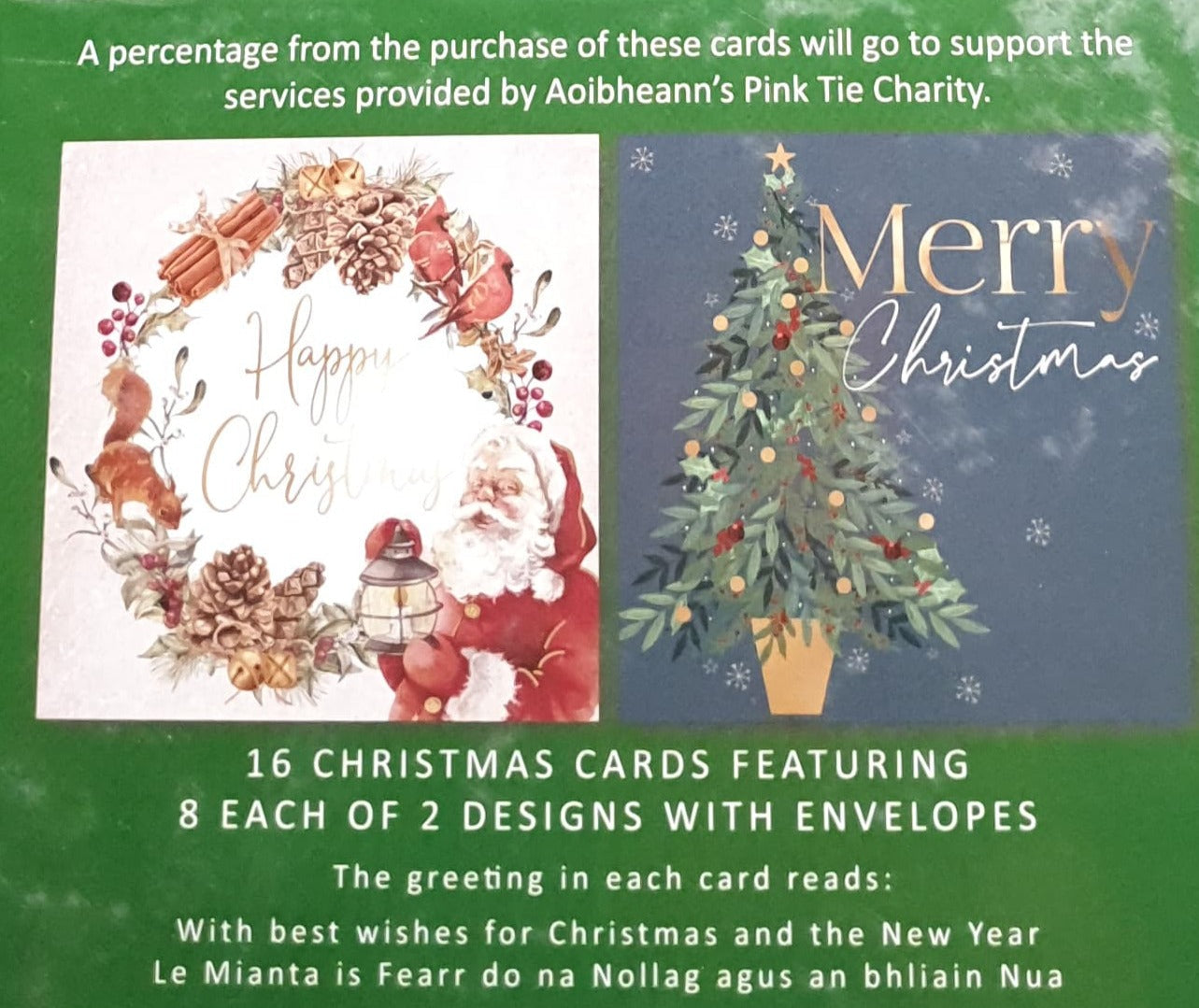 Charity Christmas Card (In Irish & English) - Box of 16 / Aoibheann's Pink Tie - Wreath with Santa & Birds