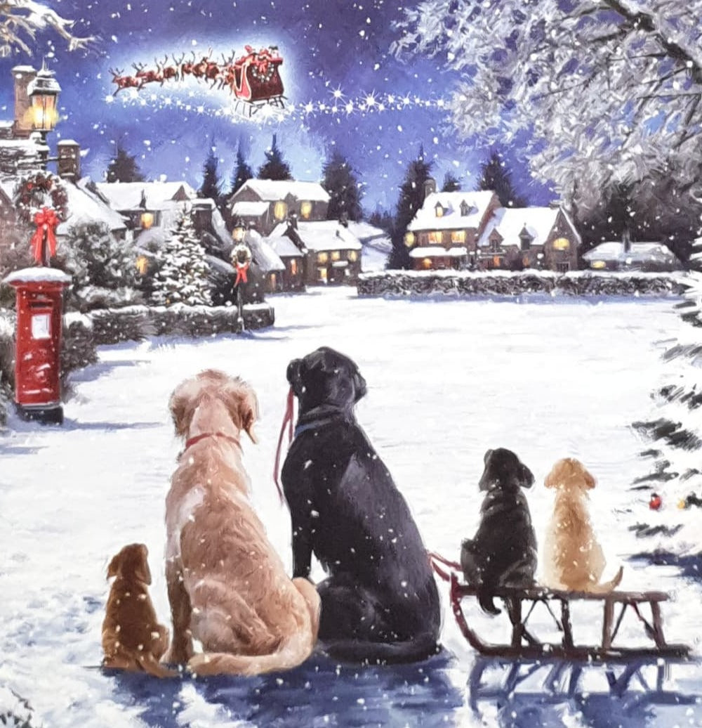 Charity Christmas Card - Pack of 8 Small / Northern Ireland Hospice - Dogs Watching Sleigh
