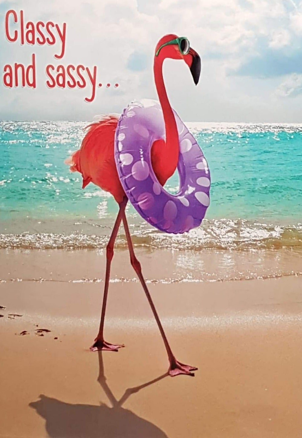 Birthday Card - Humour / Flamingo On The Beach