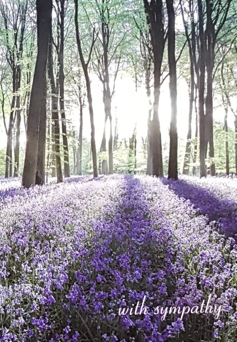 Sympathy Card - A Lavender Field & A Sun Shining Through Trees