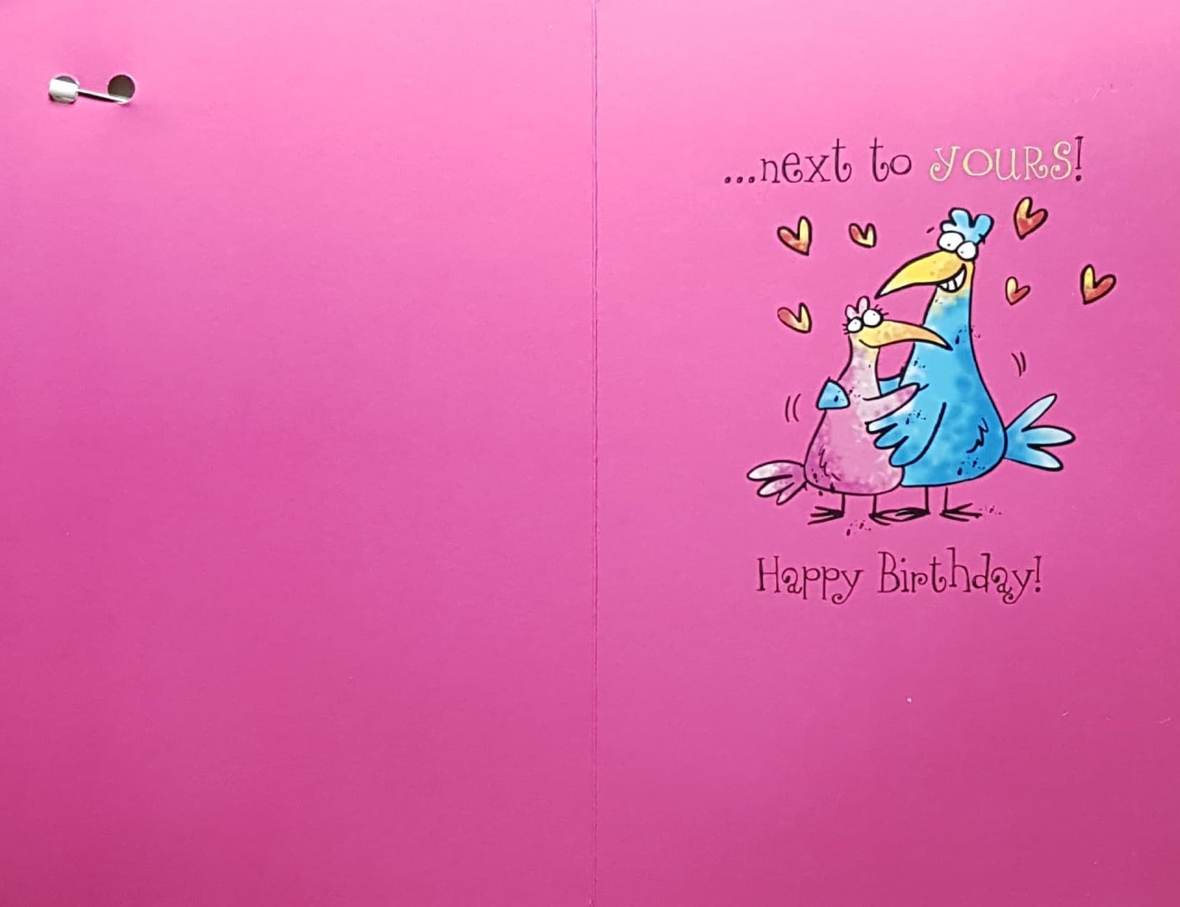 Birthday Card - Wife / Pink & Blue Bird Couple