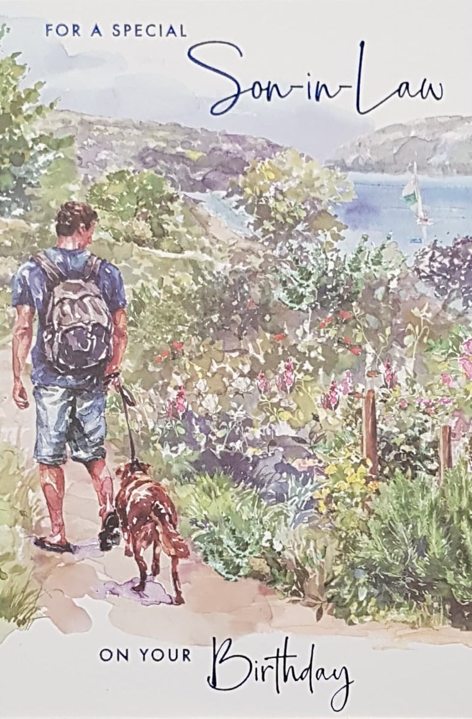 Birthday Card - Son In Law / A Man Walking A Dog In Mountains