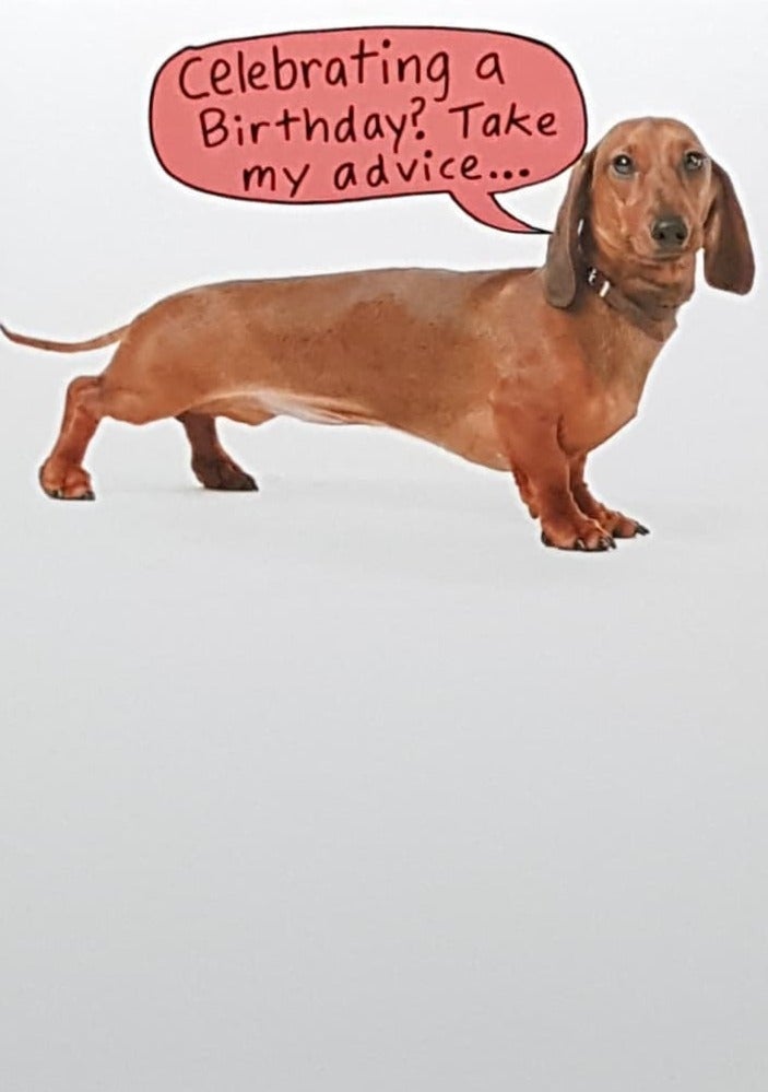 Birthday Card - Advice From A Sausage Dog
