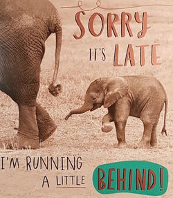 Birthday Card - Belated Birthday / Sorry It's Late (Humour)