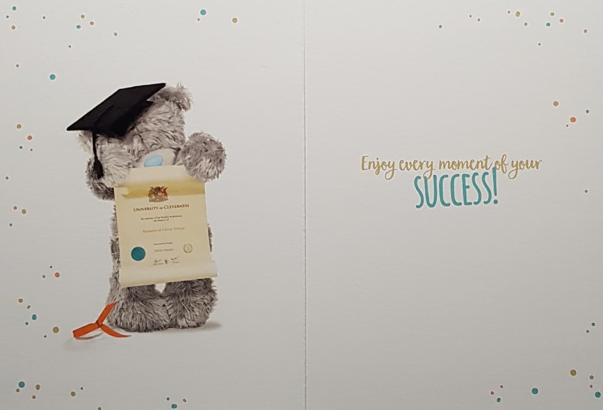 Graduation Card - A Teddy Wearing A Graduation Gown & You Did it !