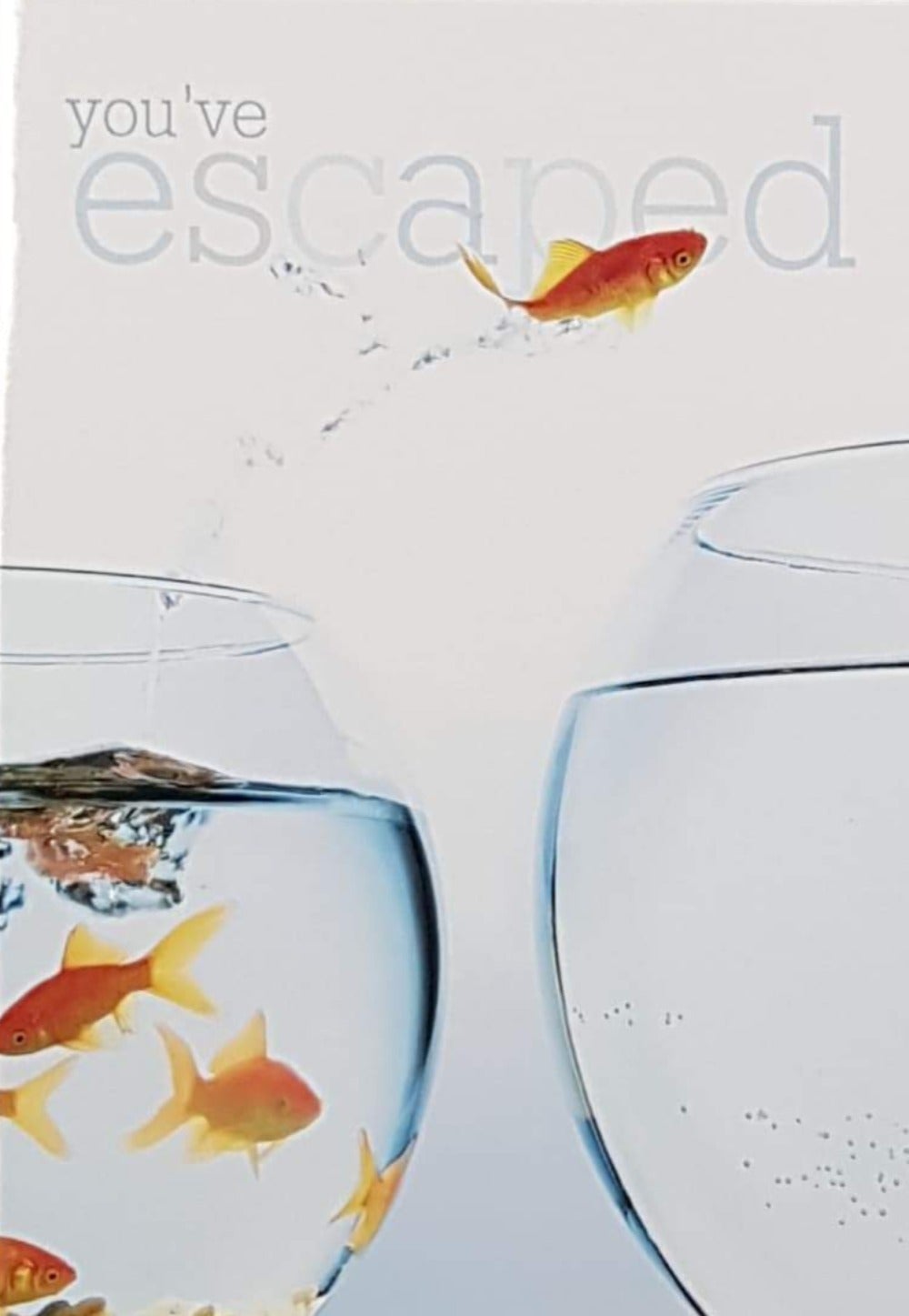 New Job Card - Gold Fish Jumping To The Empty Aquarium