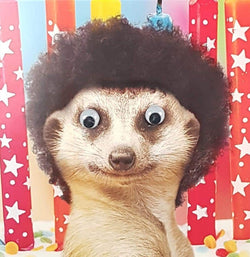 Birthday Card - Humour / Surrogate With Afro Hair & Spy Eyes