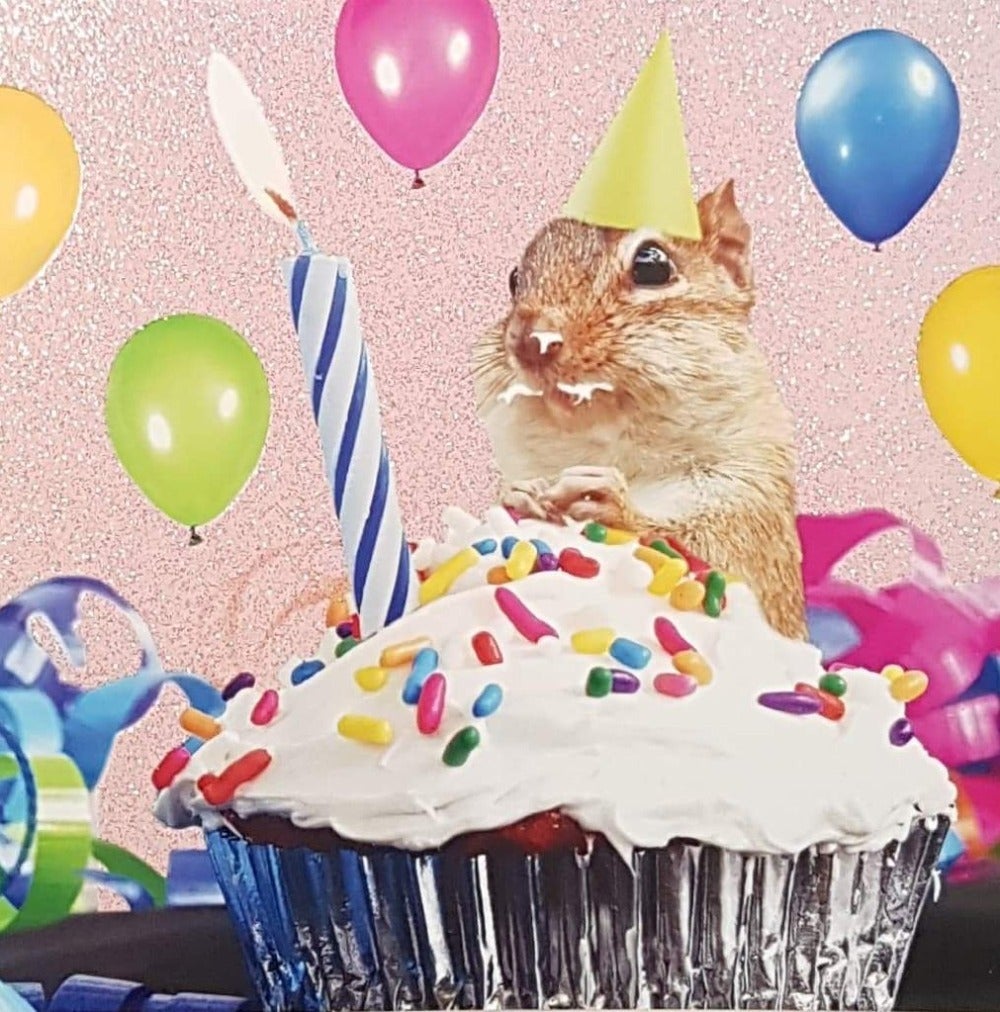Birthday Card - Humour / A Squirrel Eating A Cupcake Wearing A Yellow Party Hat