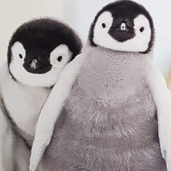 Blank Card - Humour / 'Side By Side'