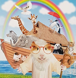 Blank Card - Humour / 'Noah's Ark'