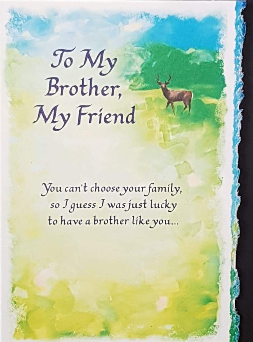 Blue Mountain Arts Card - To My Brother, My Friend