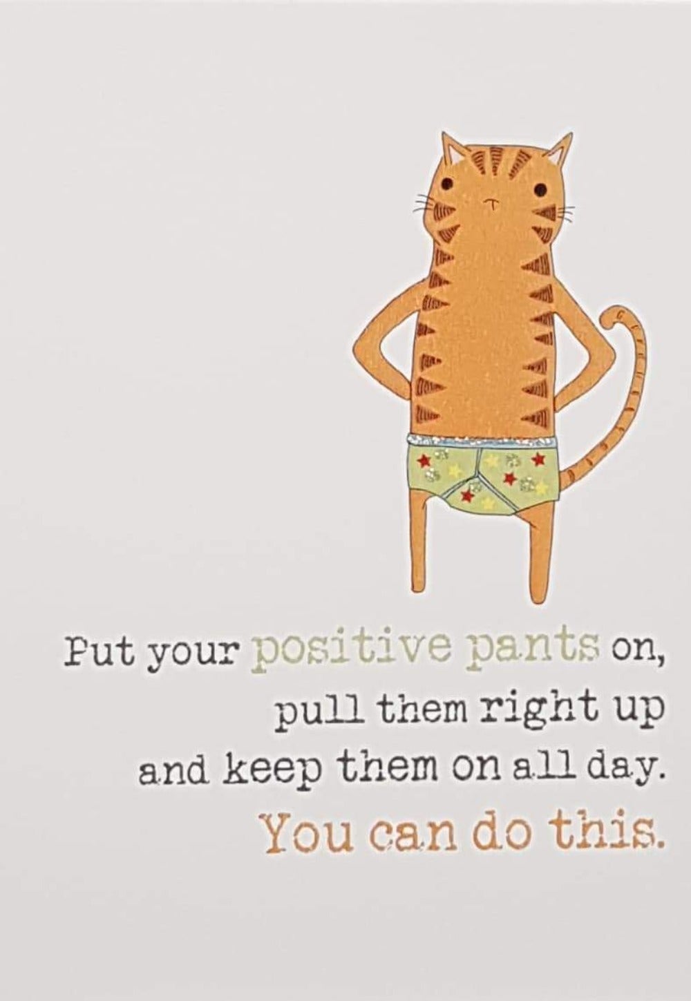 Good Luck Card - A Cat Wearing A Positive Pans