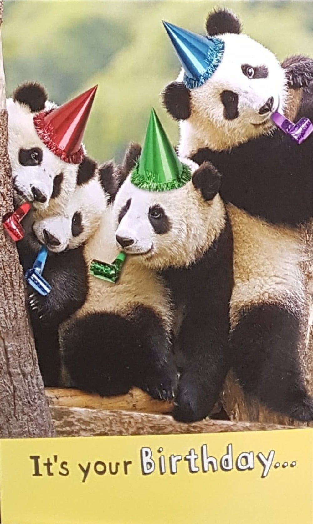 Birthday Card - Four Pandas With Party Hats Having Fun