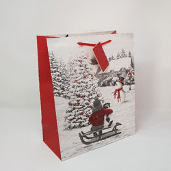 Gift Wrap - Gift Bag