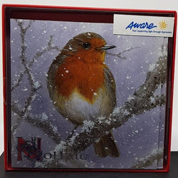 Charity Christmas Card -  Box / Aware Achieving Women Enterprise AWE - Winter Robin