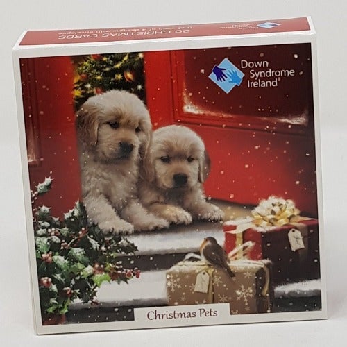 Charity Christmas Card - Box / Down Syndrome Ireland - Christmas Pets