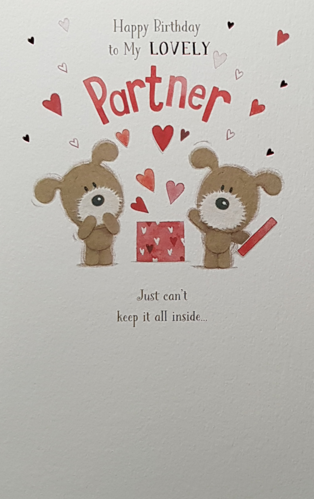 Birthday Card - Partner / Just Can't Keep It All Inside...