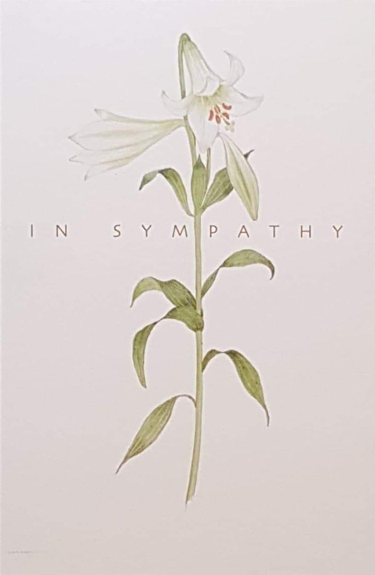 Sympathy Card - A Single White Lily