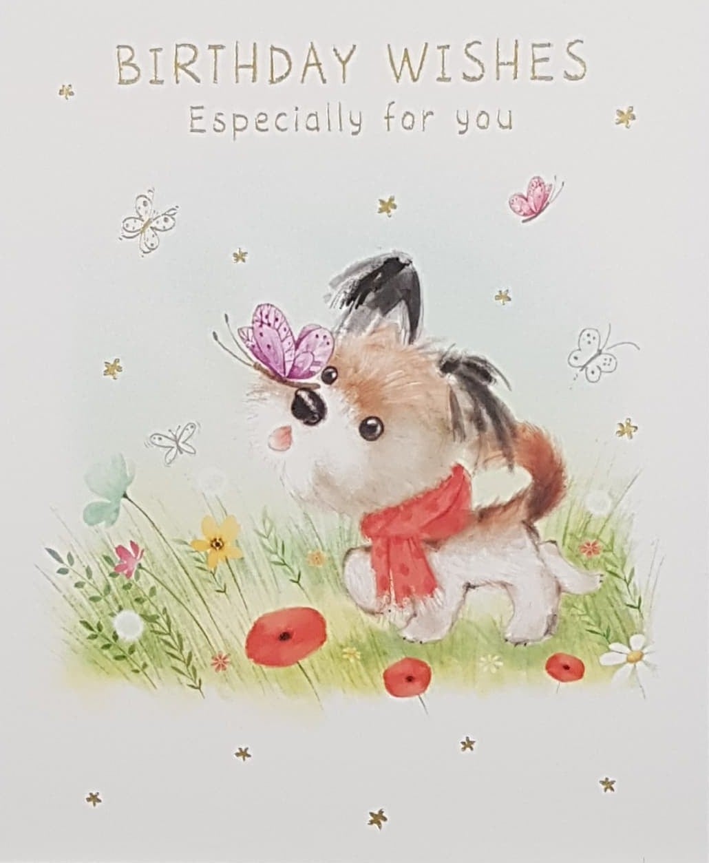 Birthday Card - A Fluffy Puppy In The Garden With A Butterfly On His Nose