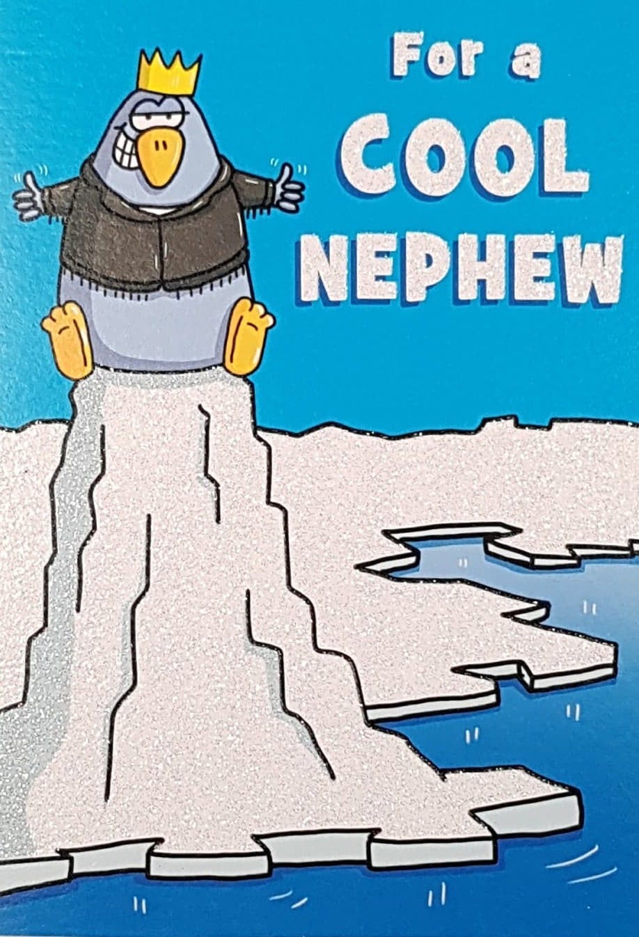 Birthday Card - Nephew / A Cool Penguin Sitting On Ice