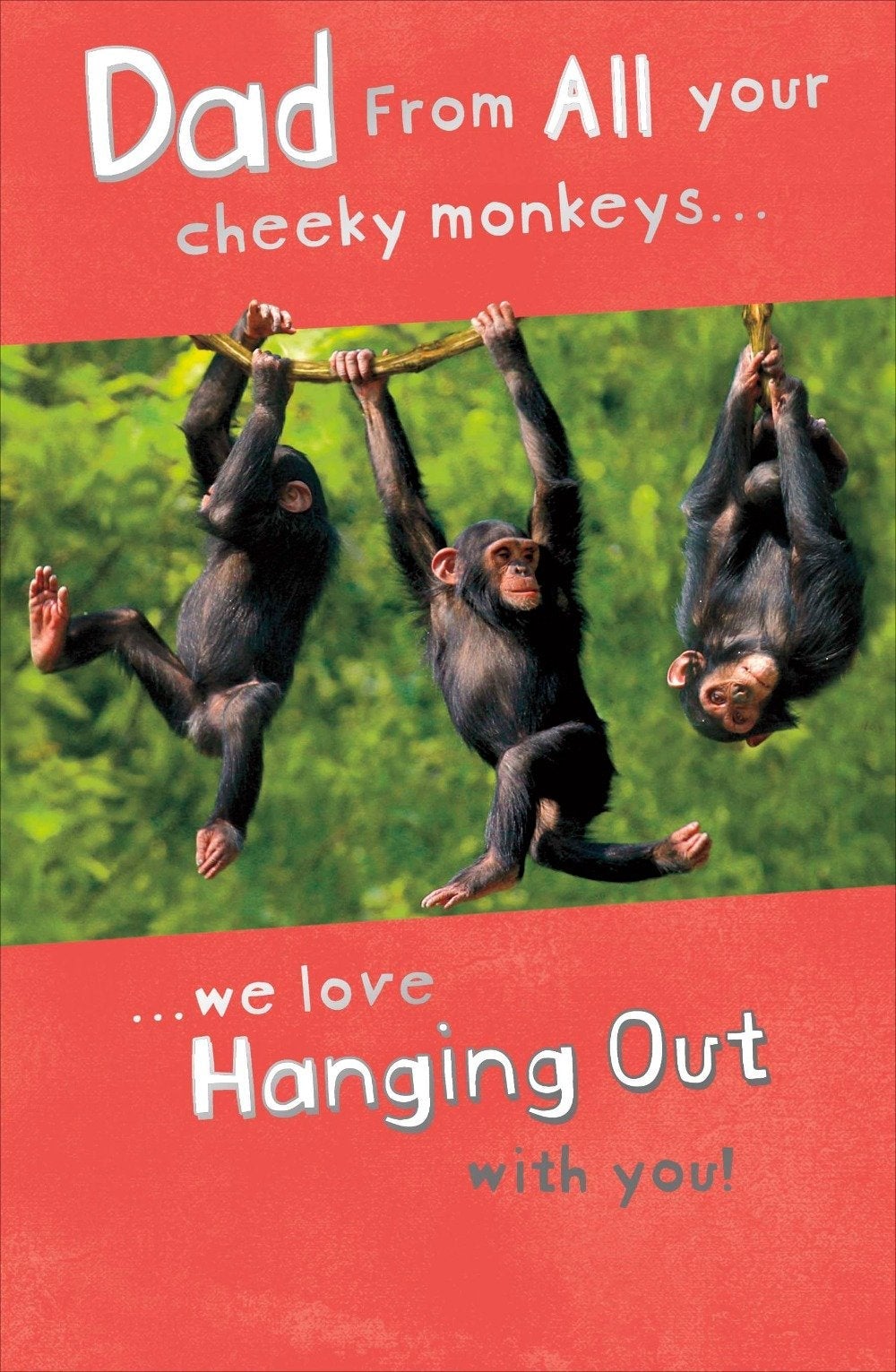 Fathers Day Card - Dad From All / We Love Hanging Out With You !