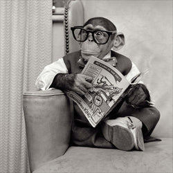 Fathers Day Card - Humour / Monkey Wearing Glass And Reading Newspaper