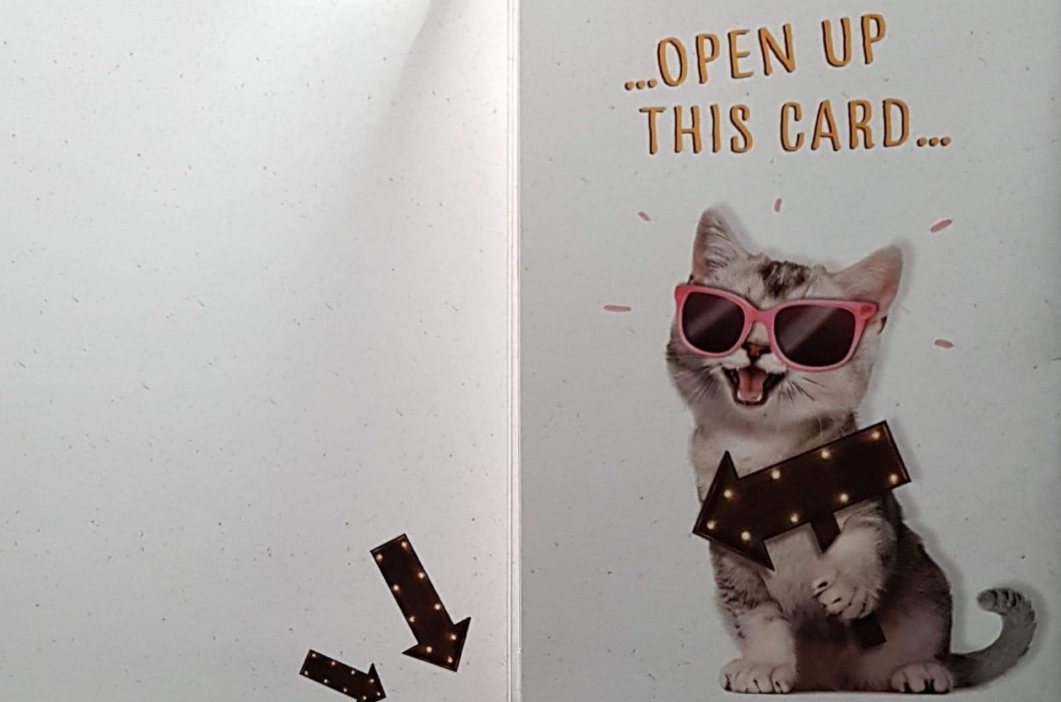 Birthday Card - Daughter / 'Big Very Special' & A Cat Wearing Shades