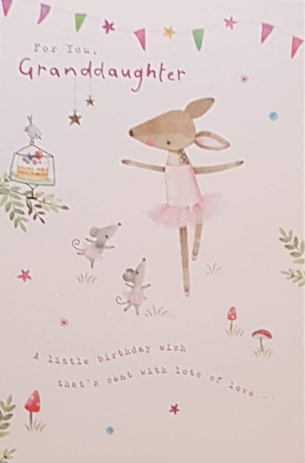 Birthday Card - Granddaughter / 'A Little Birthday Wish' & A Red Cone Mushroom