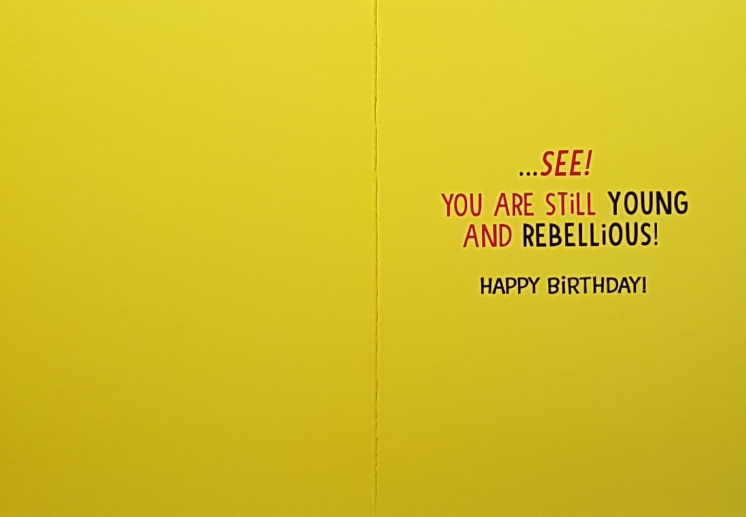 Birthday Card - Young & Rebellious (Humour)