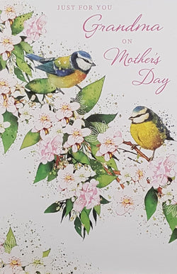 Grandma Mothers Day Card - Two Lovely Birds On A Floral Branch
