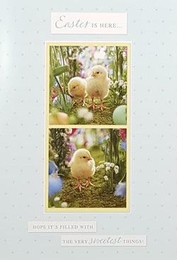 Easter Card - Cute Yellow Chicks Wandering In A Garden