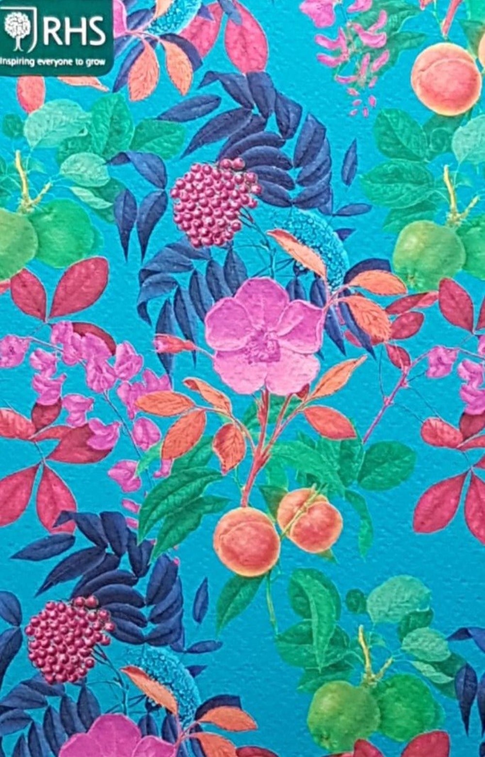 Blank Card - A Colourful Fruit On Branches On A Blue Background