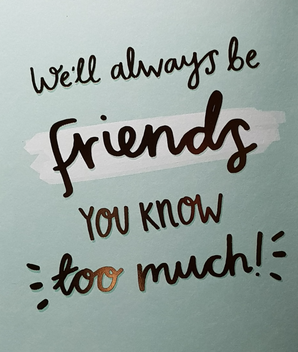 Birthday Card - Friend / We'll Always Be Friends You Know Too Much !