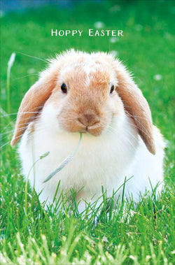 Funny Easter Pack Of Cards