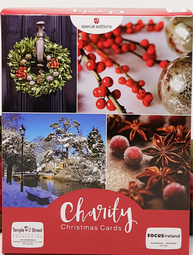 Charity Christmas Cards - Box / Focus Ireland & Christmas Motives