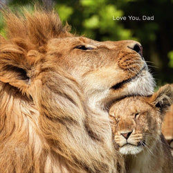 Fathers Day Card - Dad / Love You & Lion And Cub
