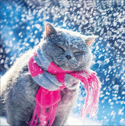 General Christmas Card