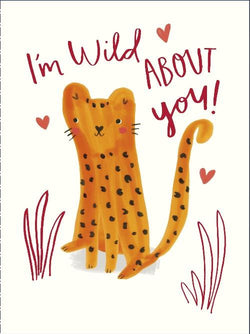 Humour Cat Valentines Day Card 