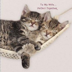 Wife Valentines Day Card 