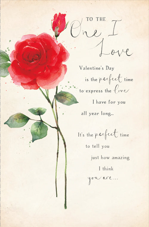 One I Love Valentines Day Card - Perfect Love Amazing Think