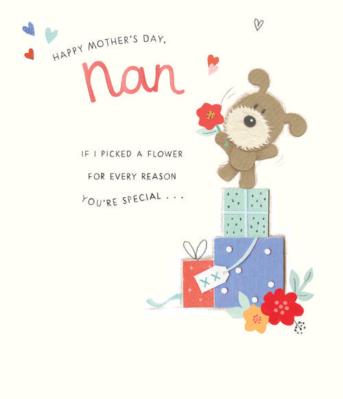 Nan Mothers Day Card - Picked Flower Reason