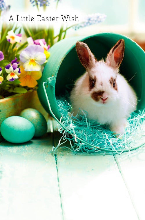 Easter Card - A Cute Bunny Sitting In A Blue Bucket