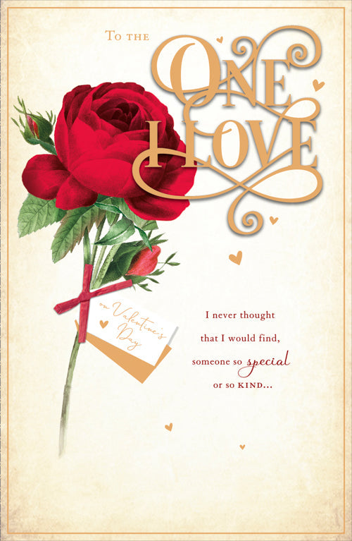 One I Love Valentines Day Card - Never Thought Kind Special