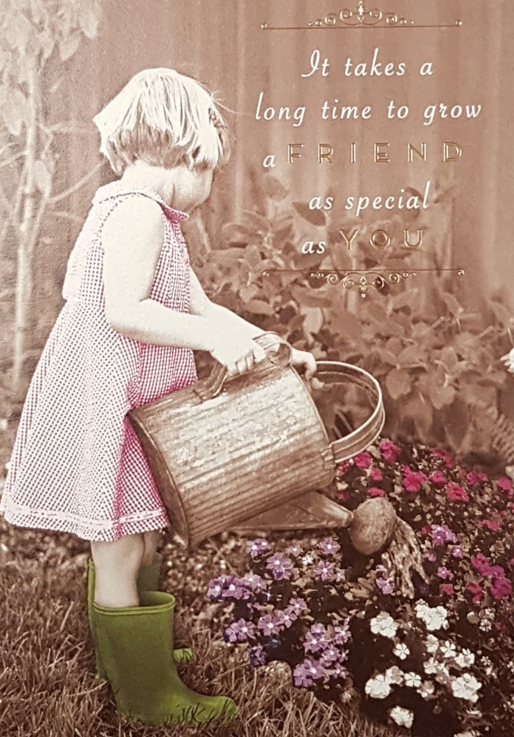 Birthday Card - Special Friend / Girl In a Pink Dress Watering Plants