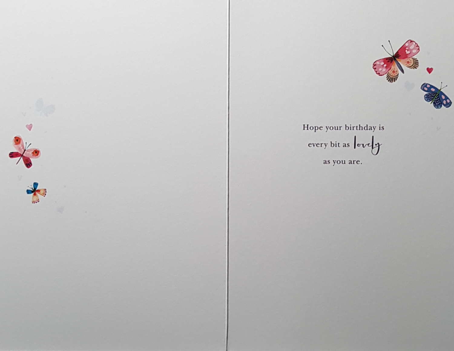 Birthday Card - Someone Special / Beautiful And Colourful Butterflies On White Front