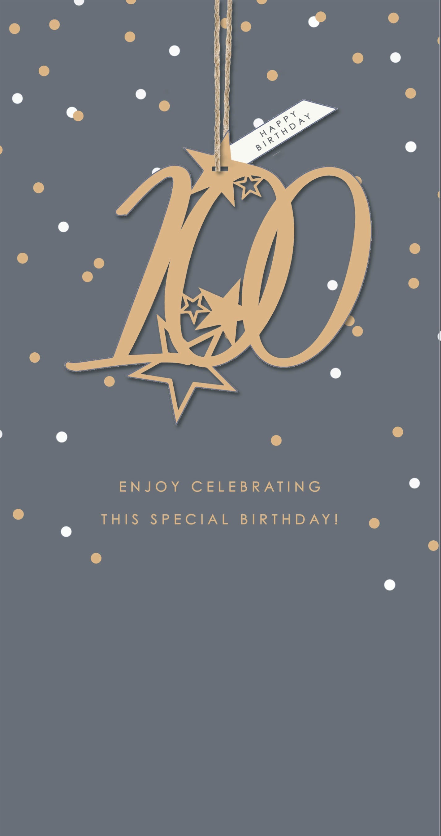 Age 100 Birthday Card