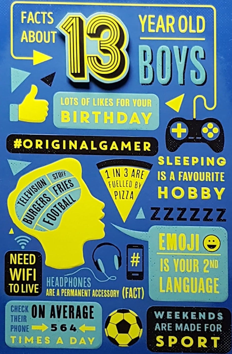 Age 13 Birthday Card - Facts About 13 Year Old Boys