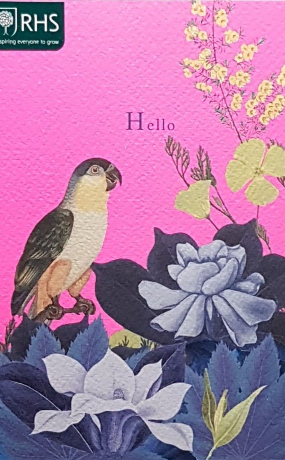 Blank Card - Yellow Parrot Saying Hello & Flowers